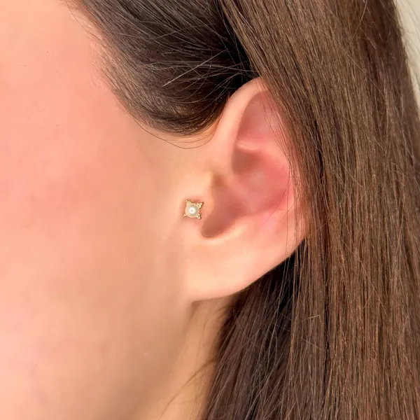 İnci Tragus