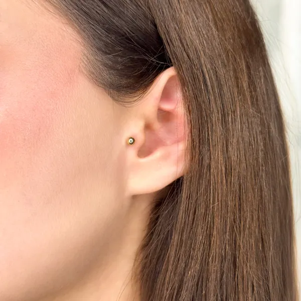 Top Tragus